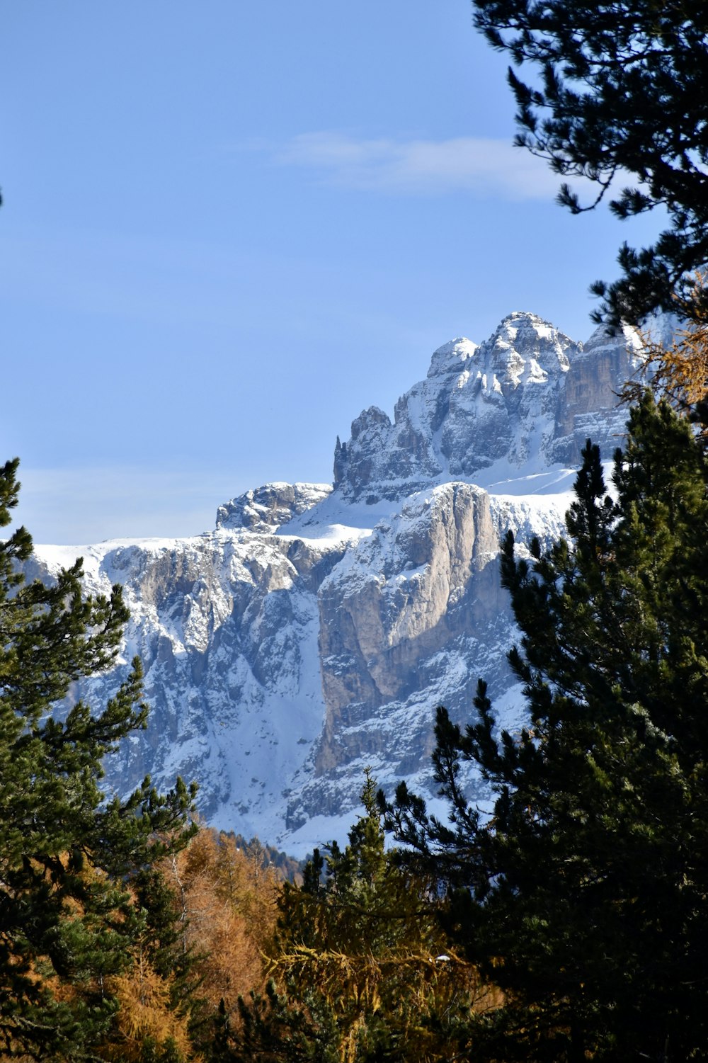 green trees near snow covered mountain during daytime