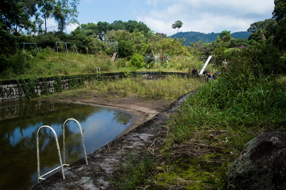 Grünes Gras und Bäume in der Nähe des Flusses tagsüber