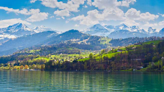 green trees on mountain beside body of water under blue sky during daytime