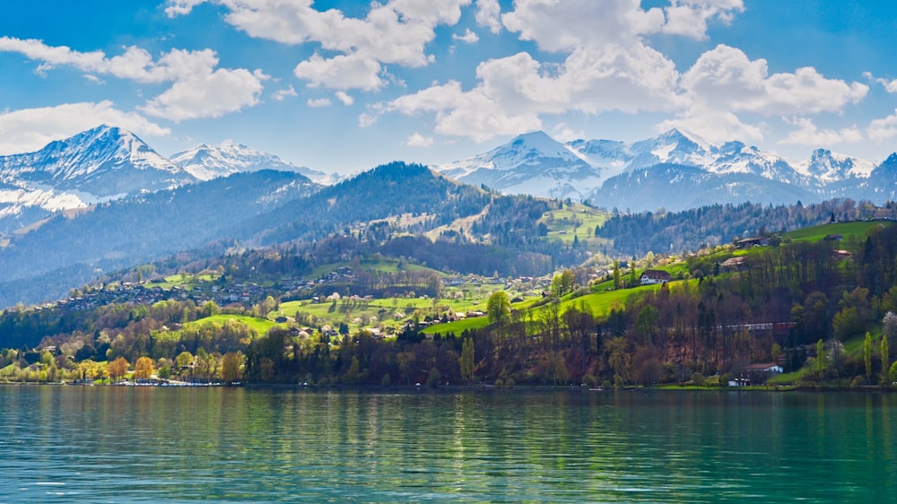 green trees on mountain beside body of water under blue sky during daytime