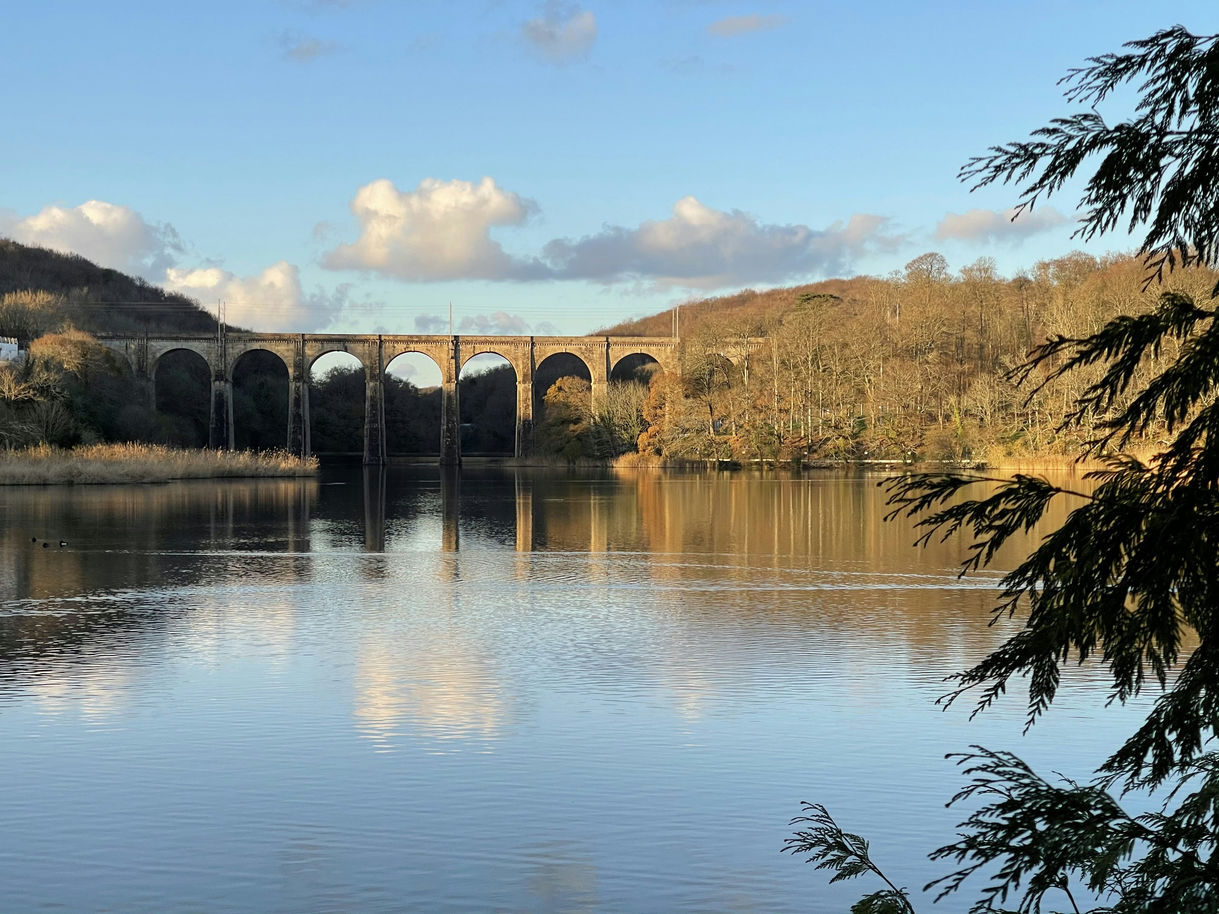 Photo by aurianeclem