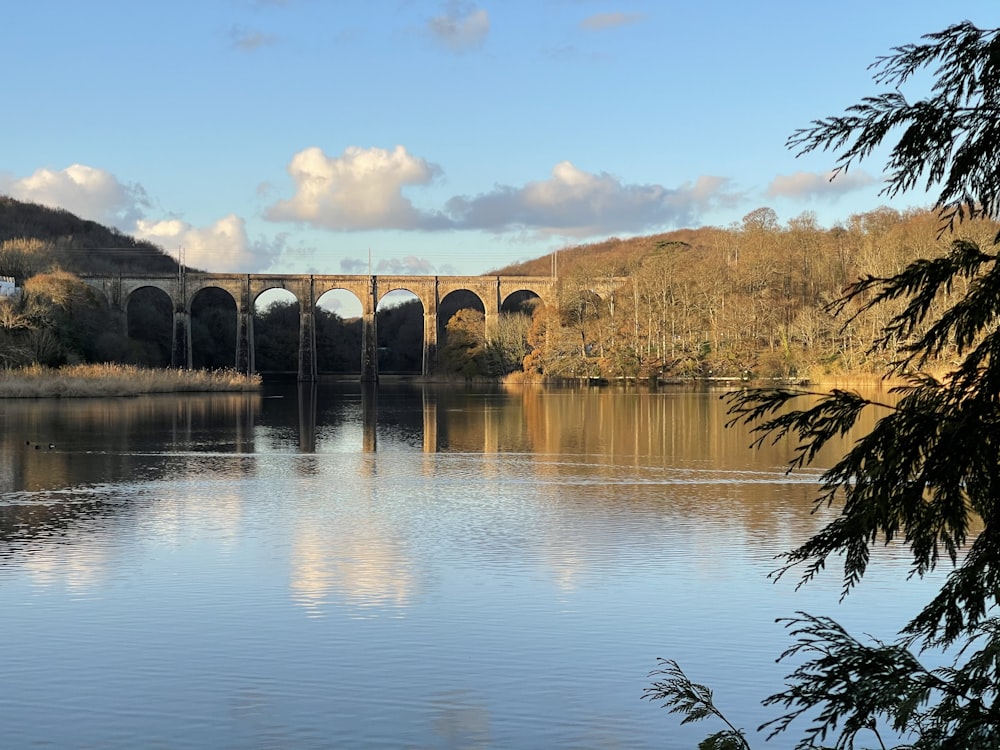 brown concrete bridge over river during daytime