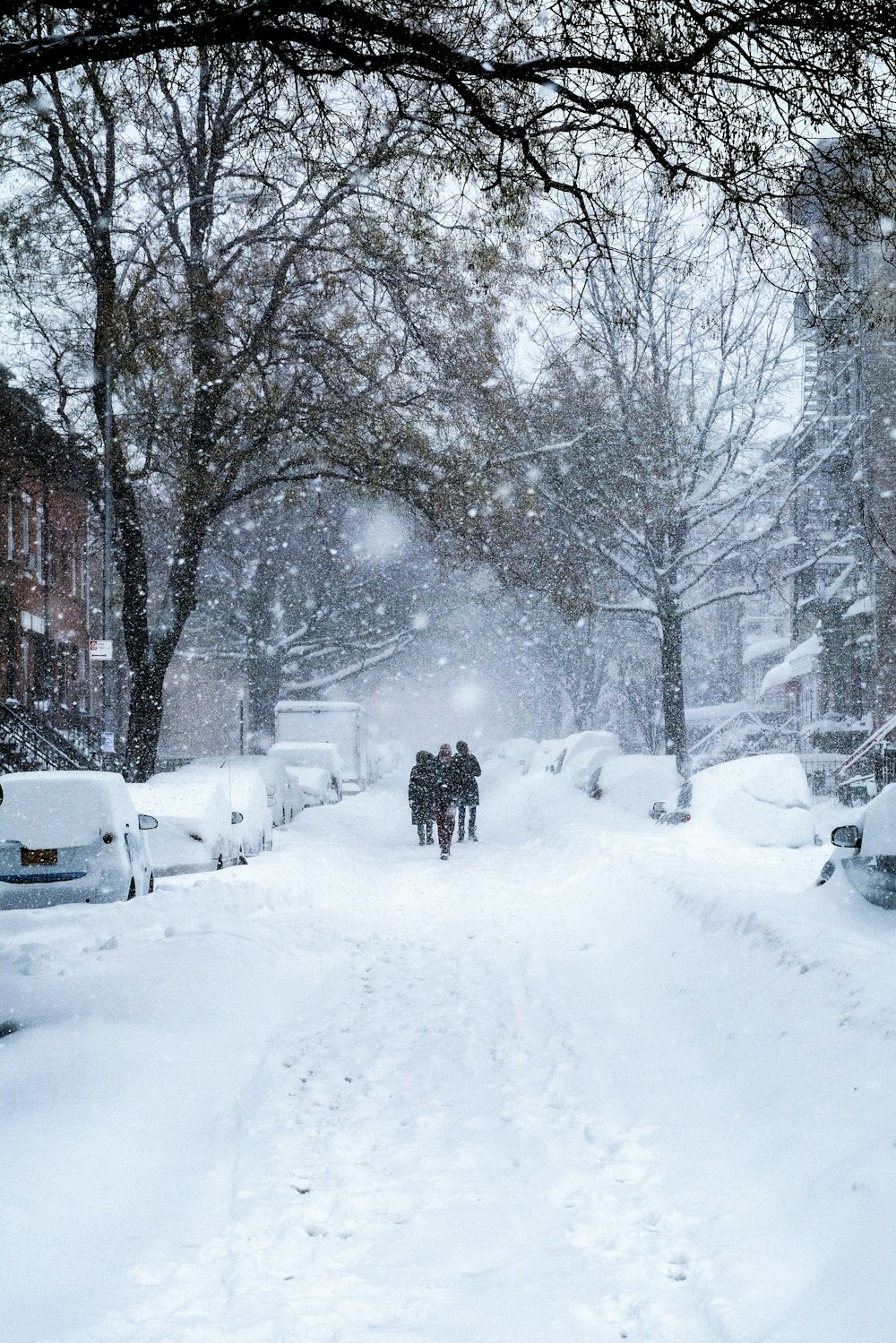 snow covered road with trees during daytime