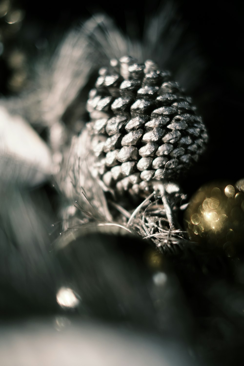 gray pine cone in grayscale photography