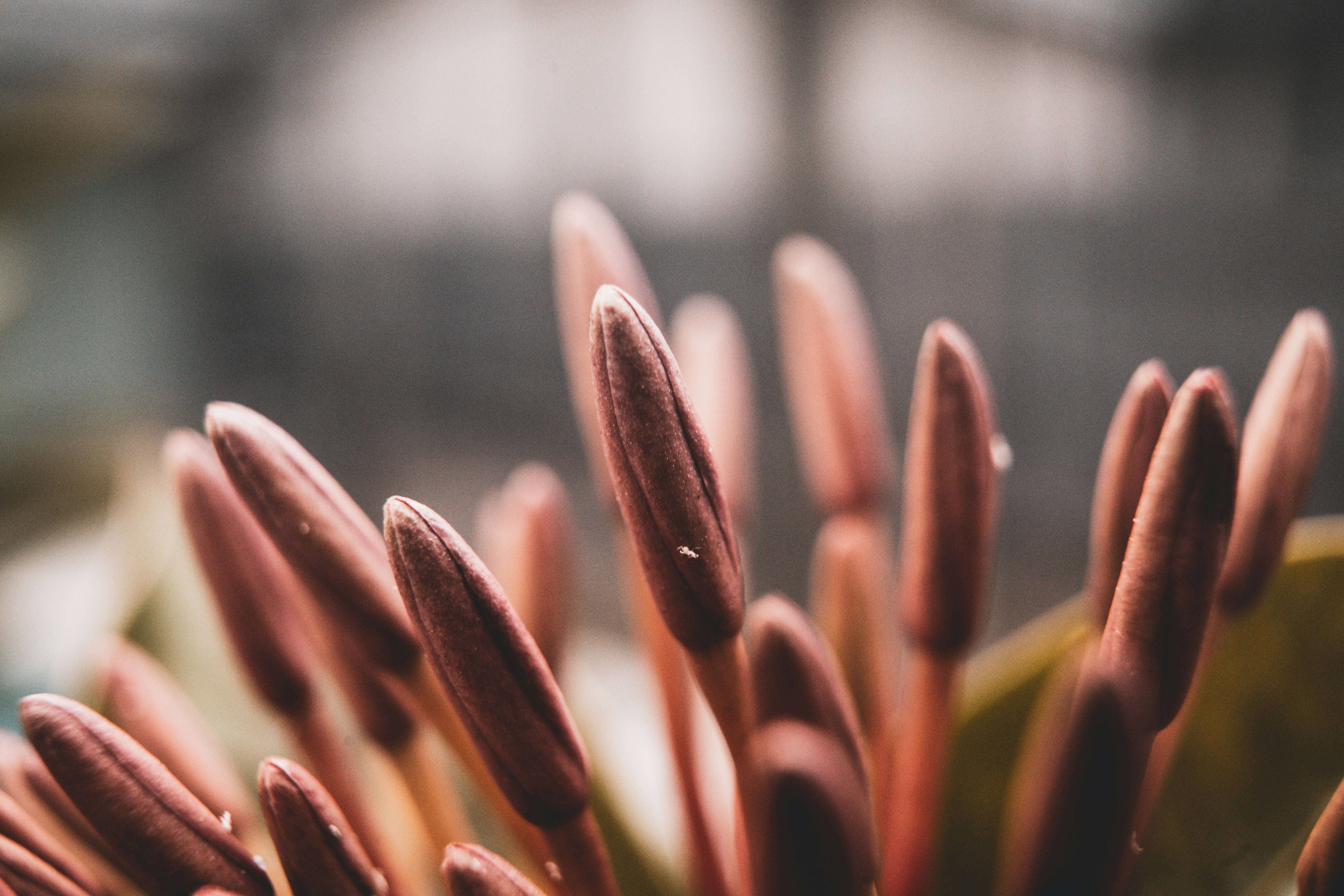 Photo by marcusurbenz