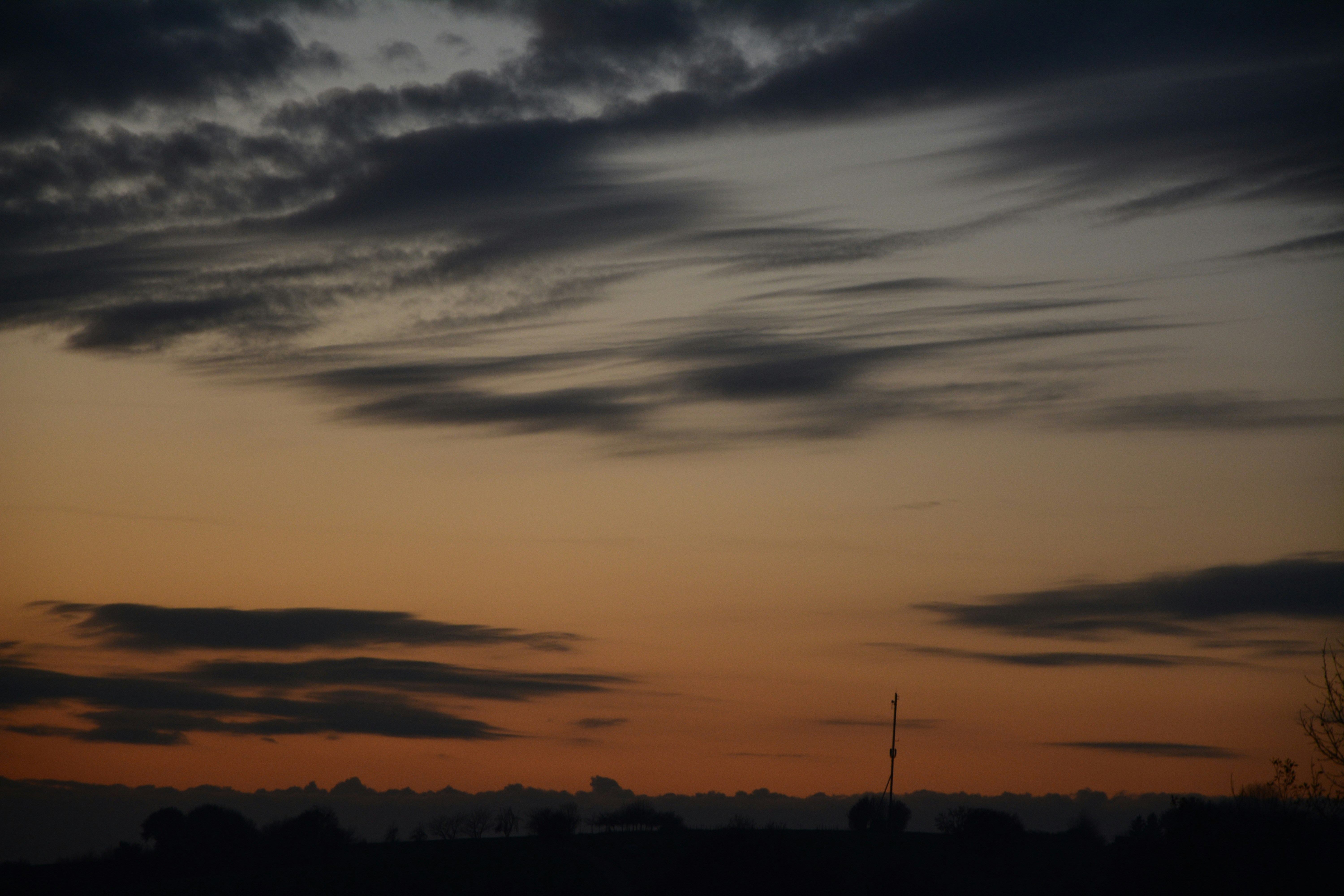 Photo by michael_ender