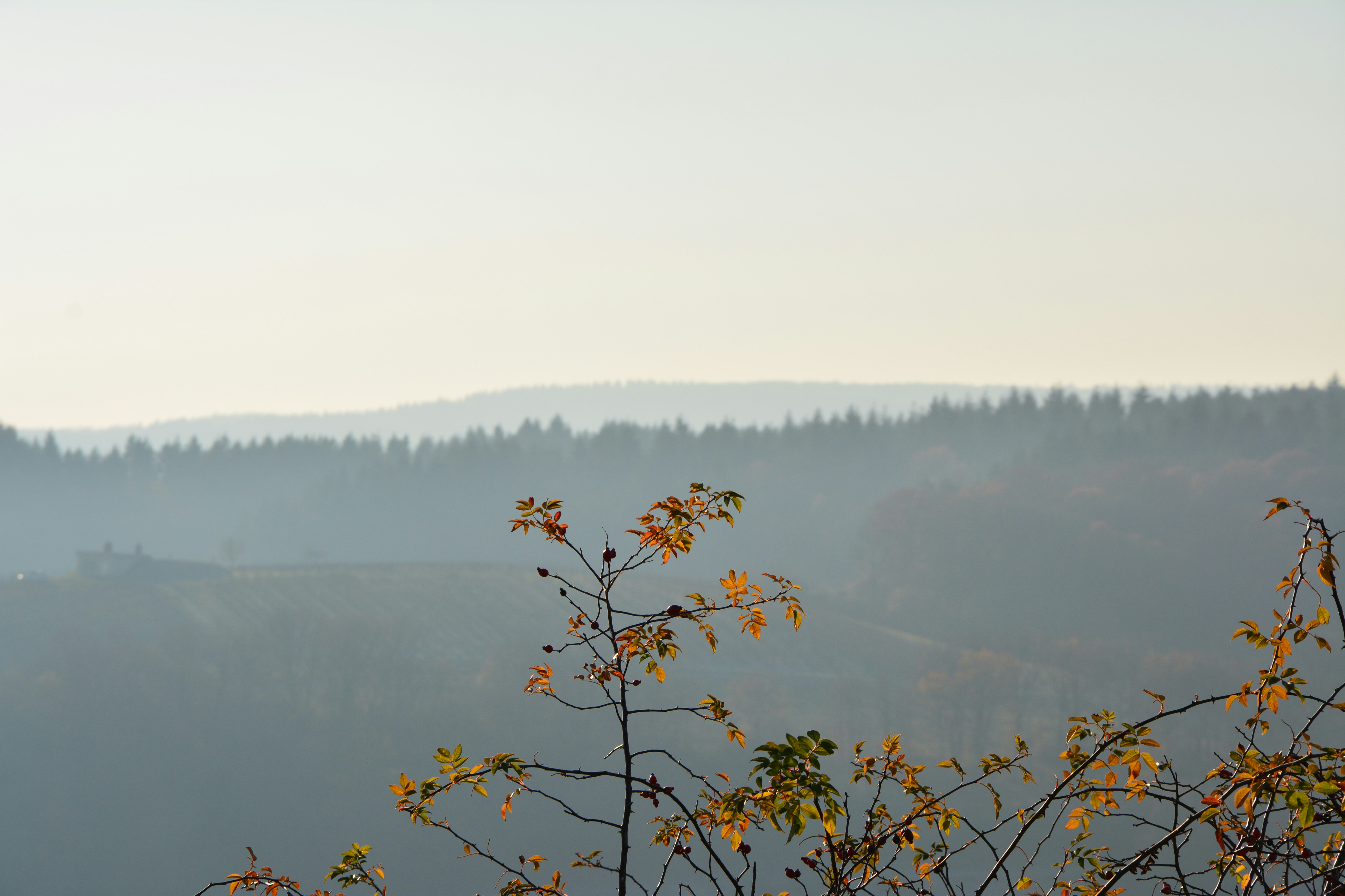 Photo by michael_ender