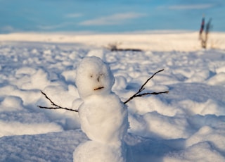 snowman on snow covered ground during daytime