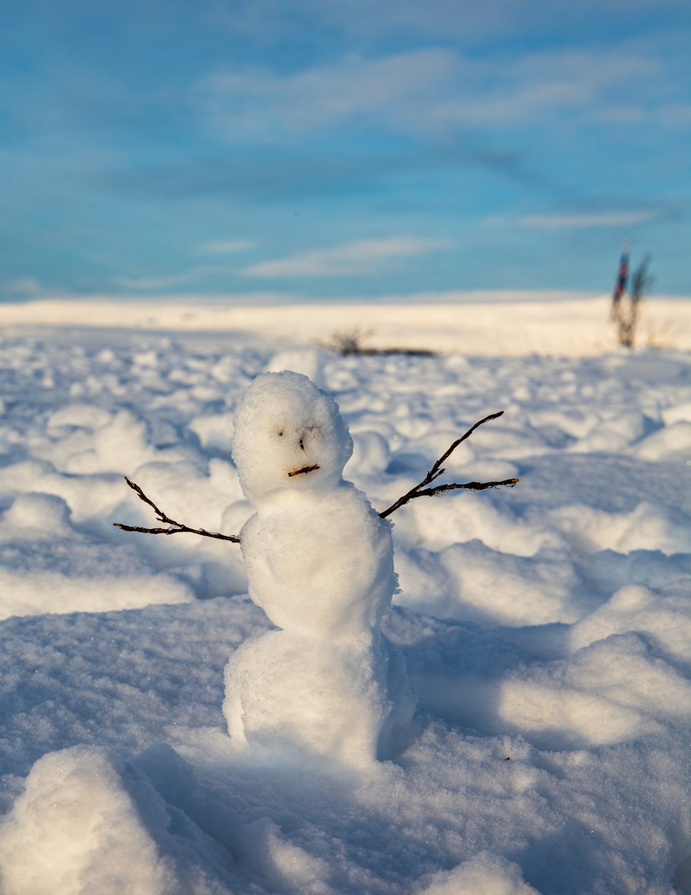 昼間の雪に覆われた地面の雪だるま