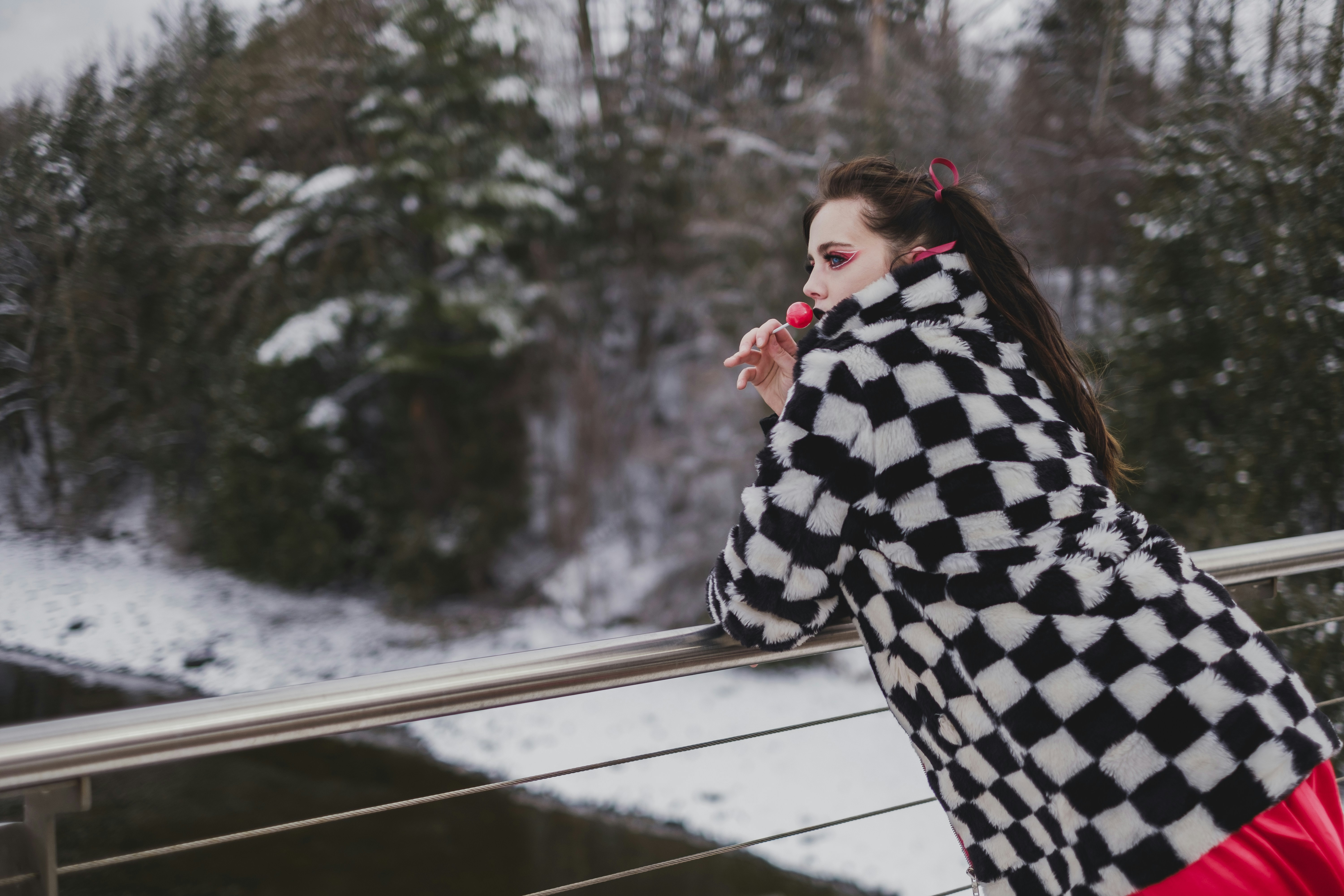Checkered Puffer