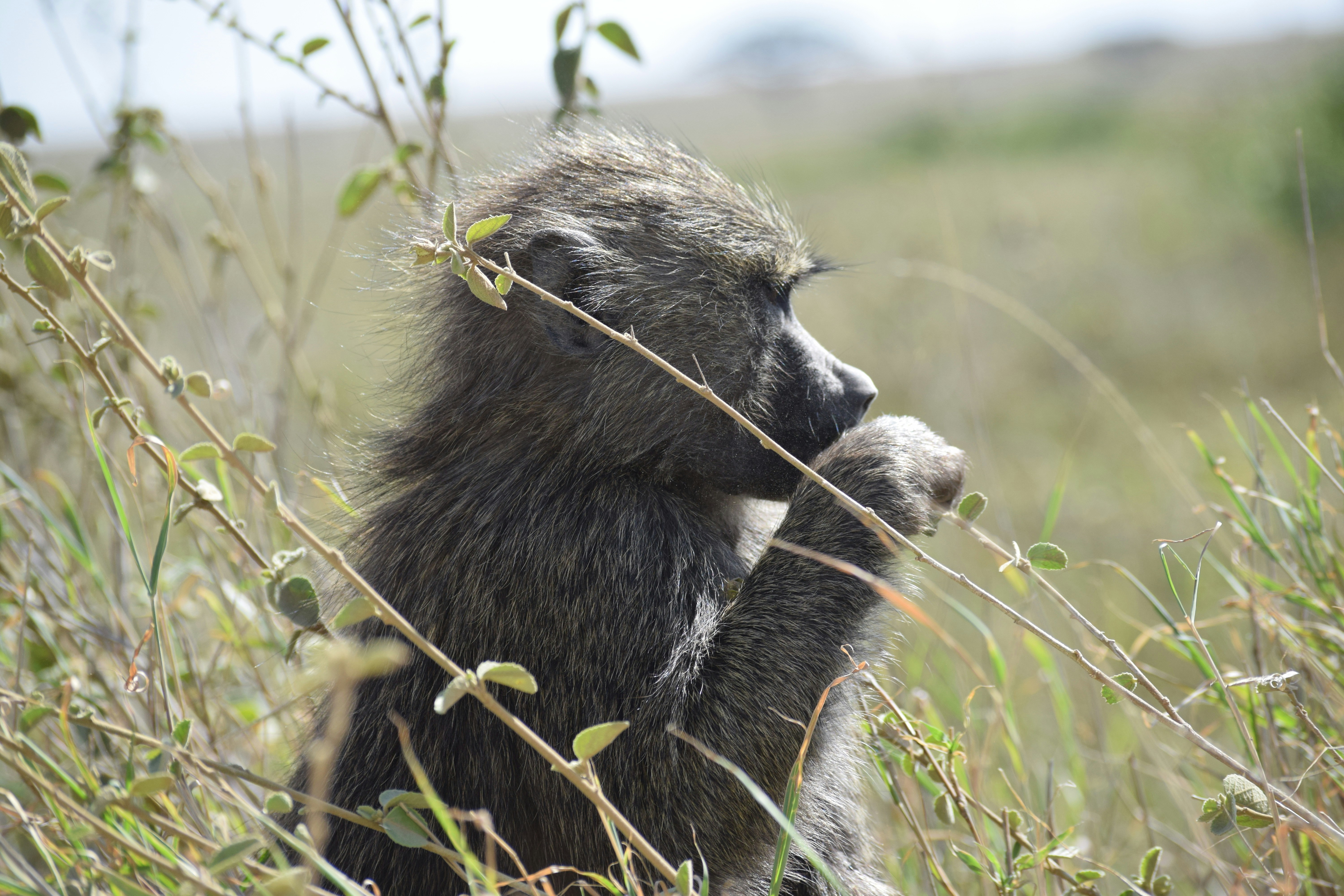 Photo by lucasgorelick