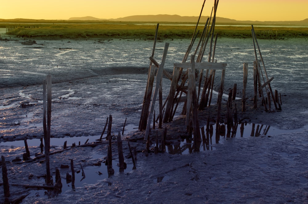 brown wooden fence on seashore during daytime