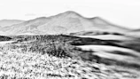 A curated photograph showing a dreamlike landscape with blurred edges and stark black tones.