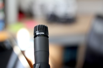 A black microphone is prominently featured in the foreground with the word 'DYNAMIC' printed on its mesh grille. The background is blurred, displaying muted colors and indistinct shapes, suggesting an indoor setting.