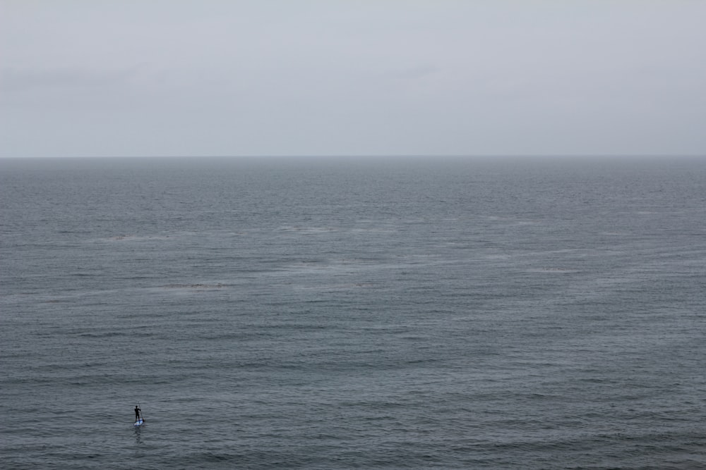 person in black shirt standing on boat on sea during daytime