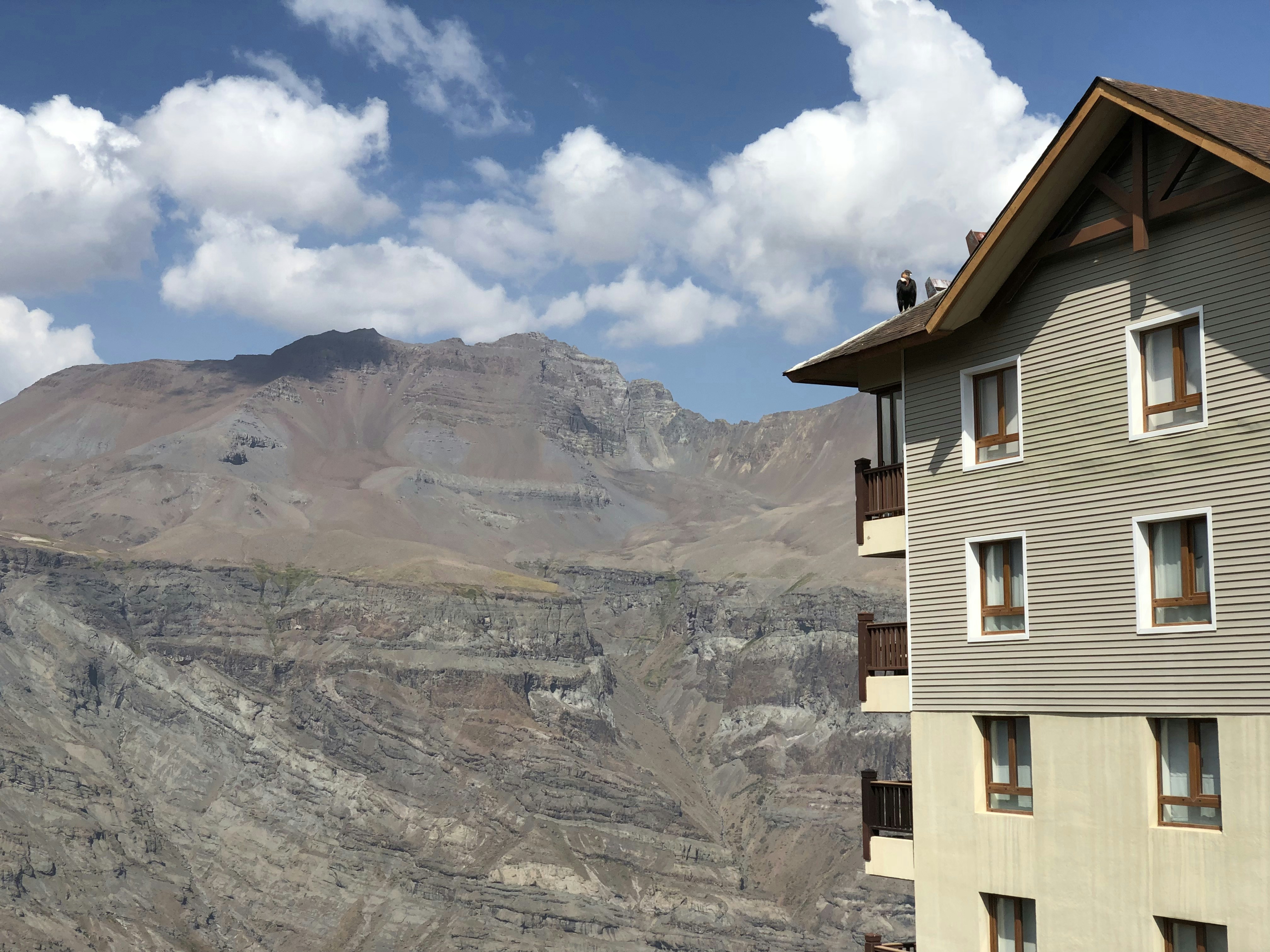 Best Hotels in Botad for Long Stays (2026)