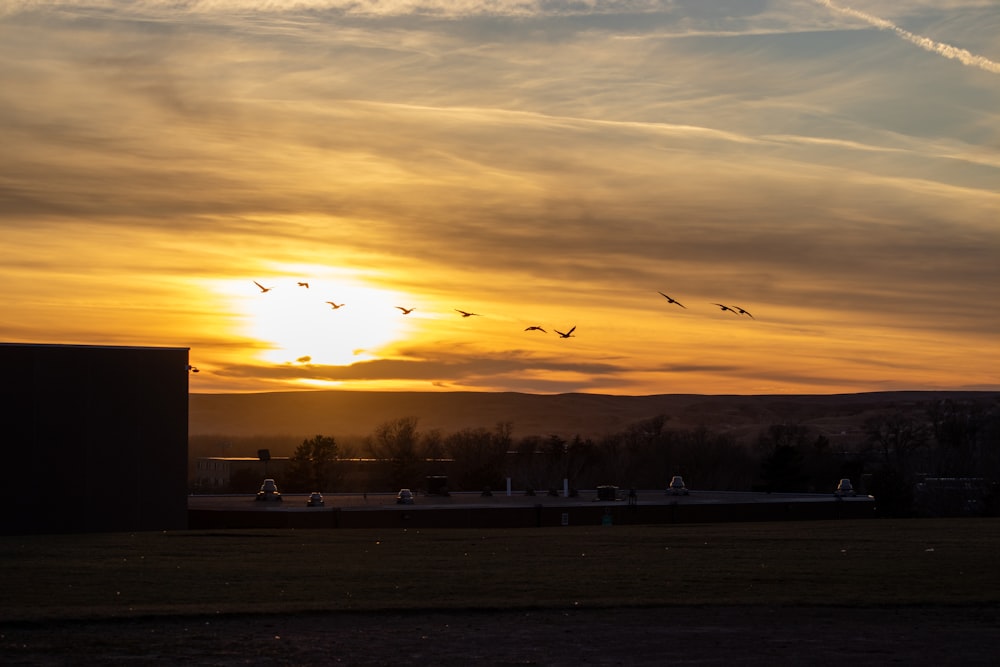 Silhouette der Bäume bei Sonnenuntergang