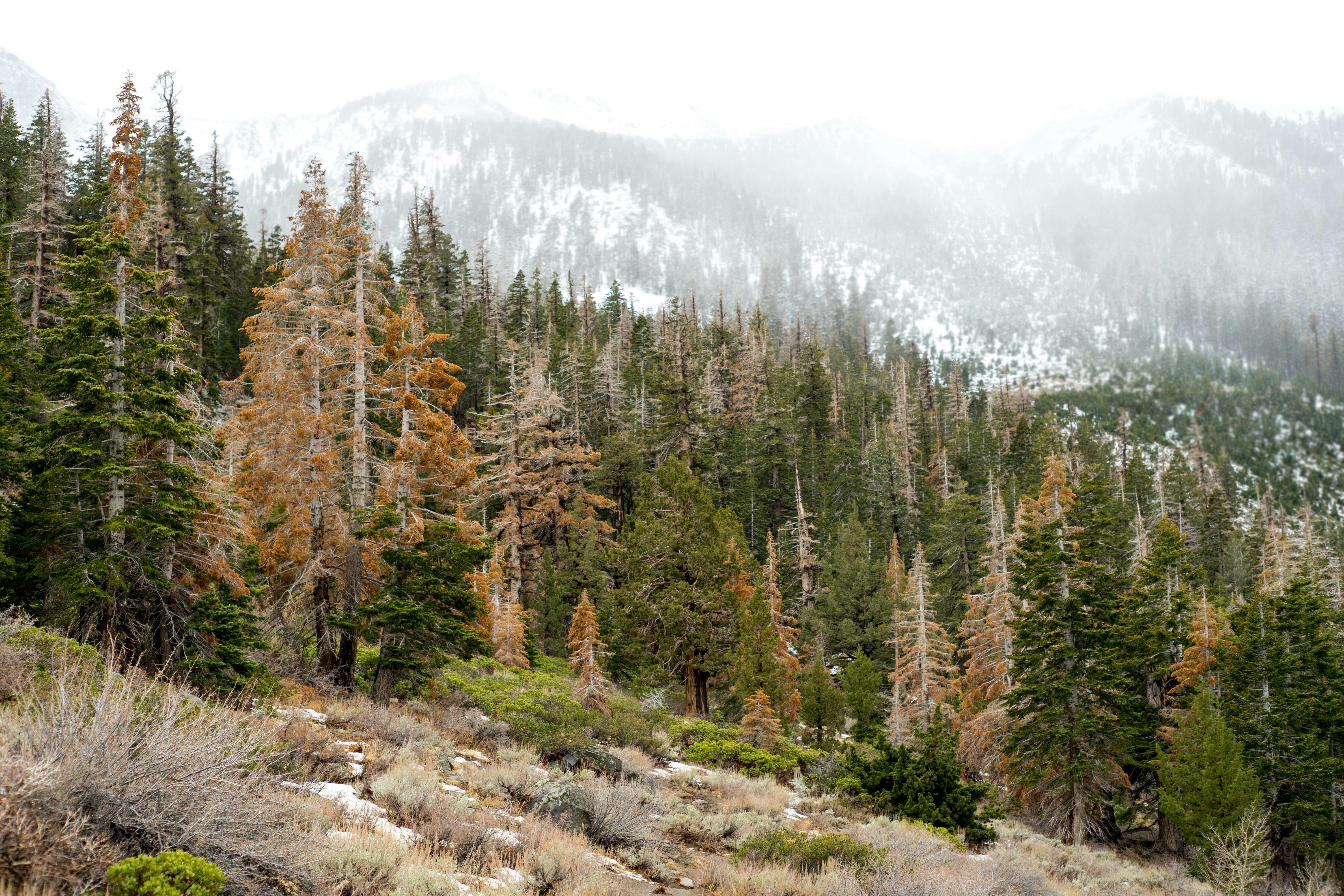 Photo by josephsobrero