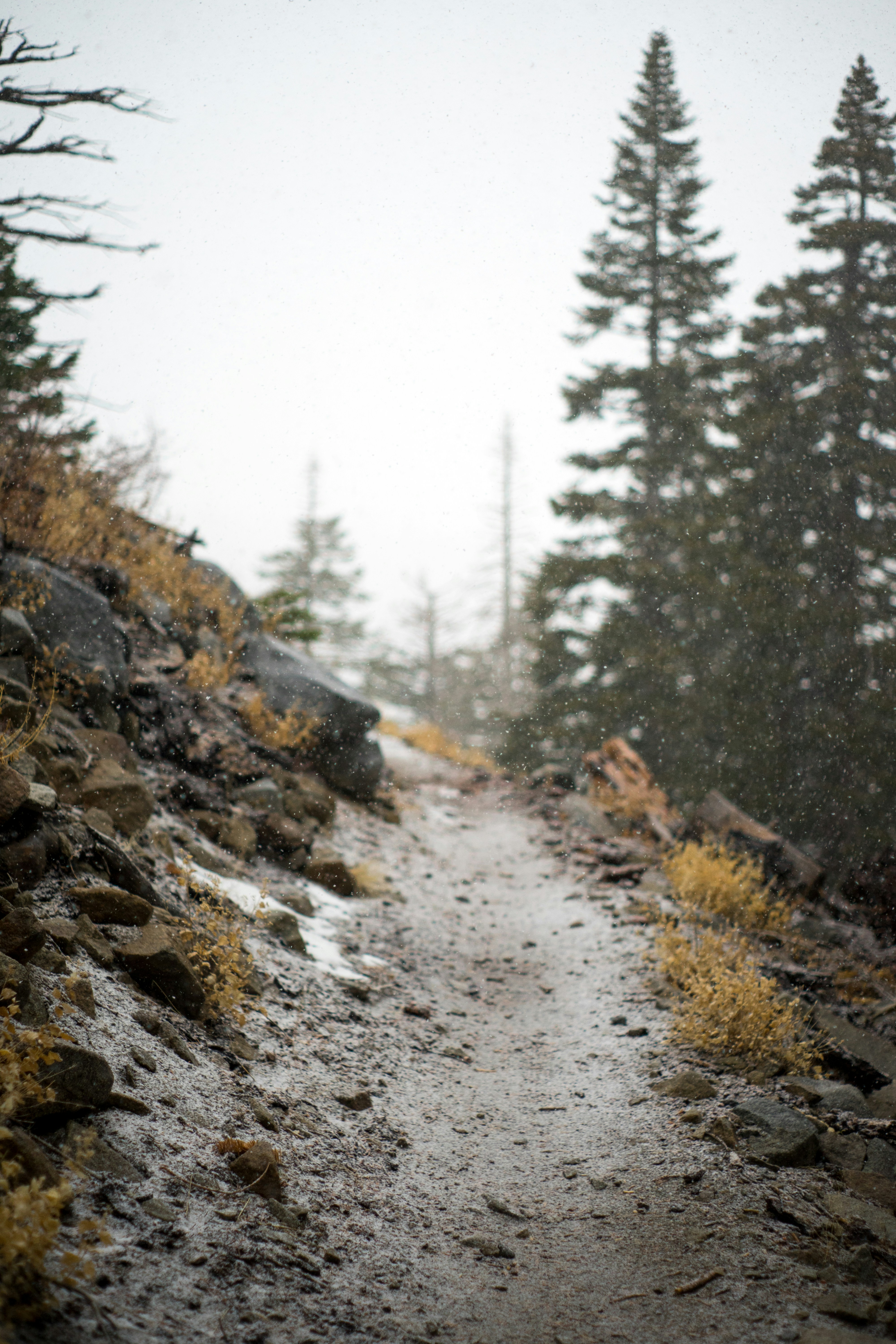 Photo by josephsobrero