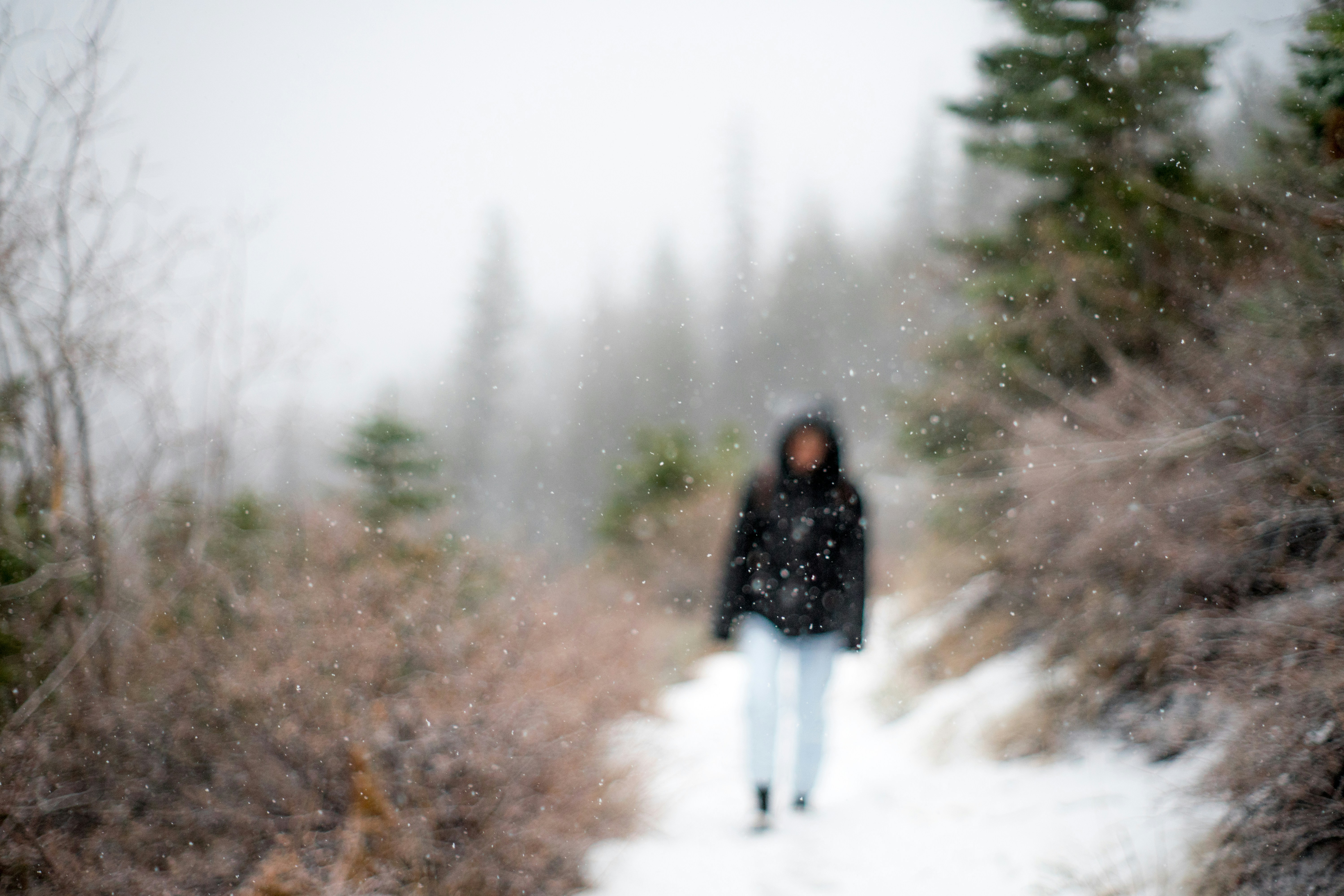 Photo by josephsobrero