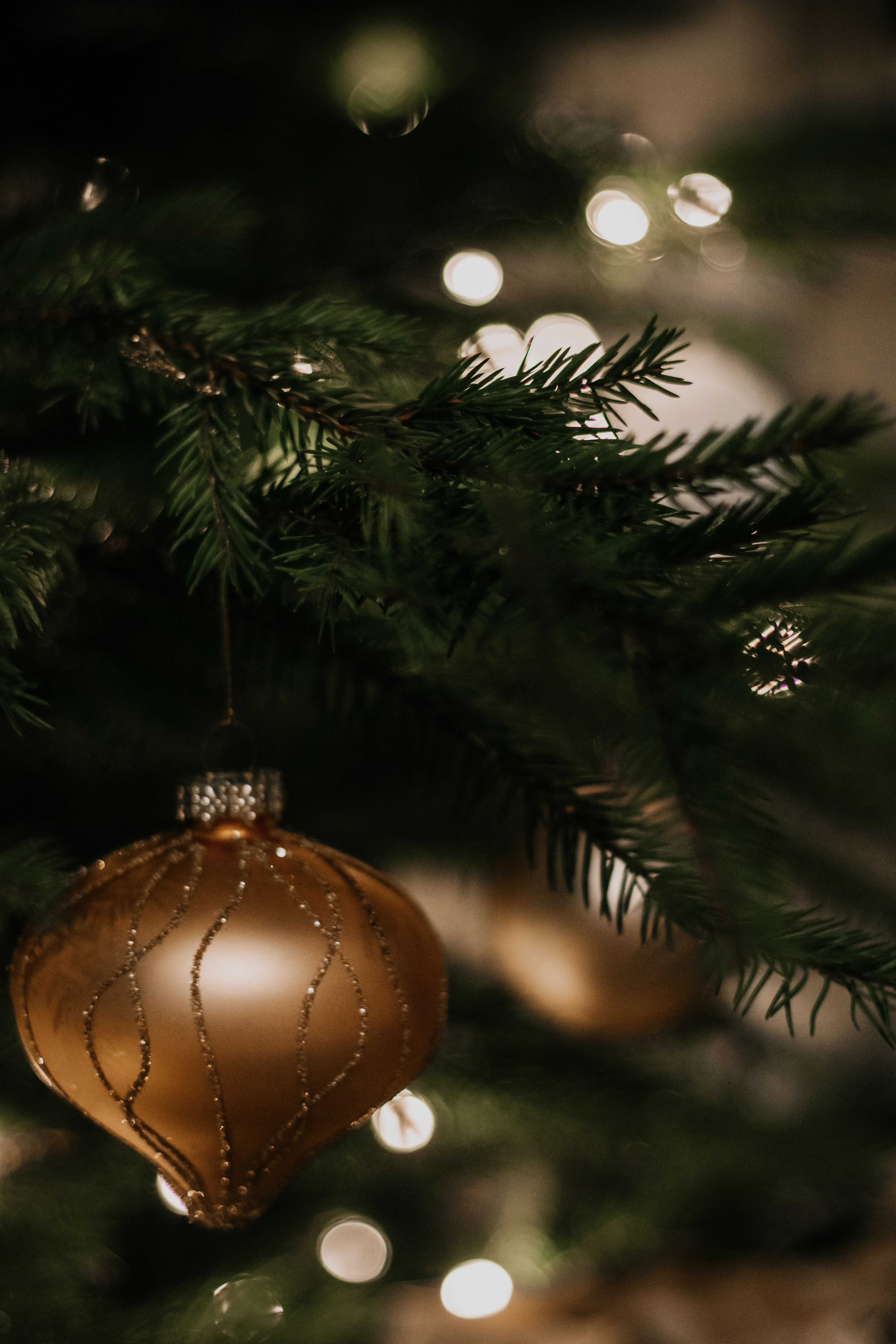 つまらないものと赤と緑のクリスマス ツリーの写真 Unsplashで見つけるヴロツワフの無料写真