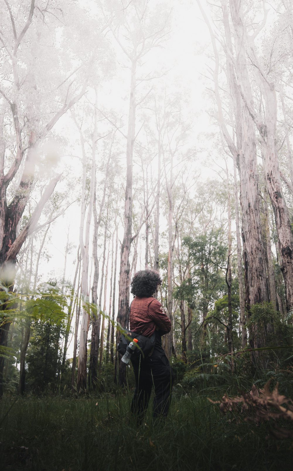 man in blue jacket standing in the woods during daytime