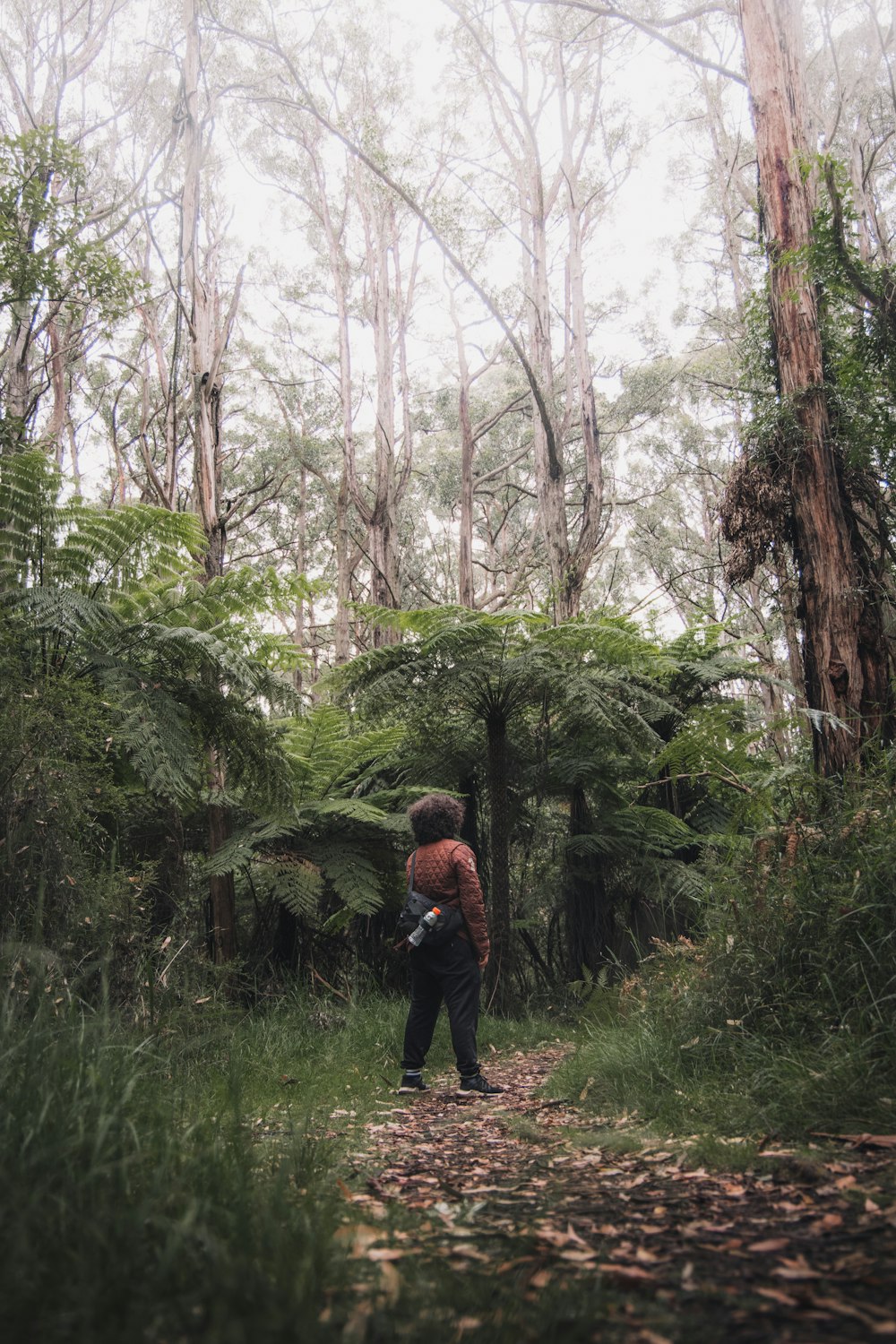 uomo in giacca rossa che cammina sulla foresta durante il giorno