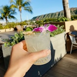 A hand holding a cocktail garnished with a lime slice, mint leaves, and a purple orchid, set against a backdrop of palm trees, a mountain range, and a luxurious outdoor setting.