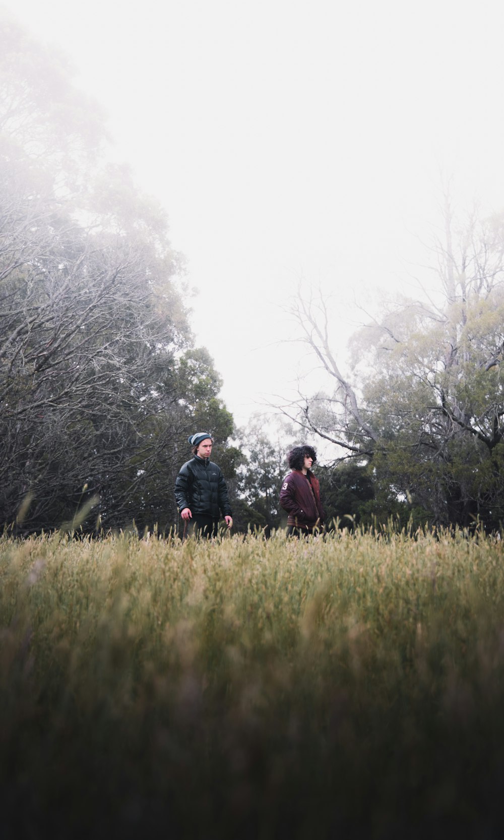 homme et femme debout sur le champ d’herbe verte pendant la journée