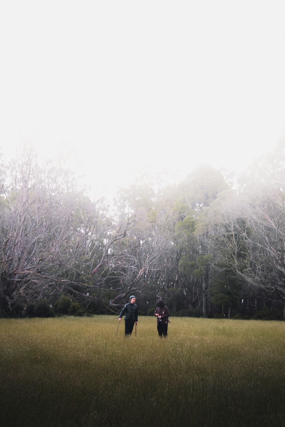 homem e mulher que caminham no campo de grama verde cercado por árvores durante o dia