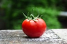 red tomato on gray concrete surface