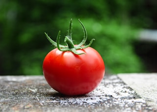 red tomato on gray concrete surface