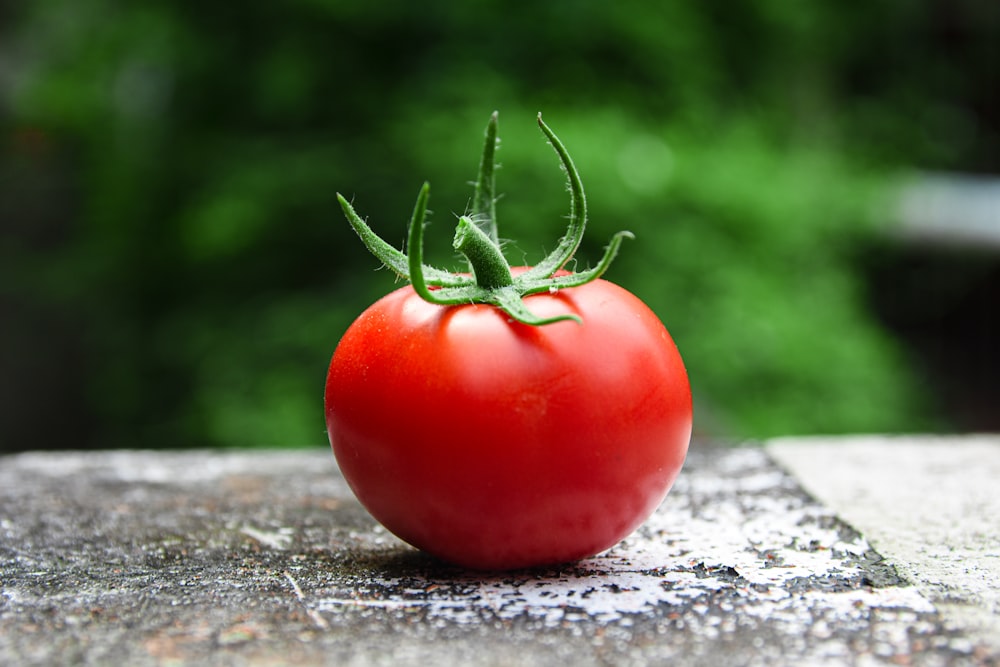 rote Tomate auf grauer Betonoberfläche