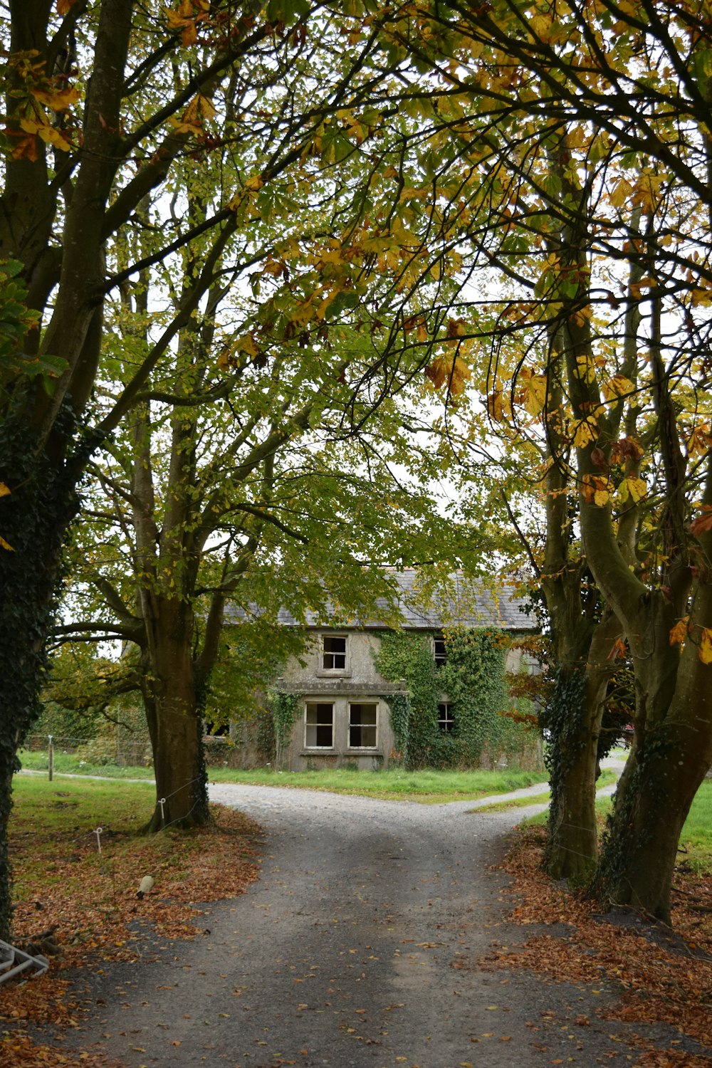 white wooden house near green trees during daytime