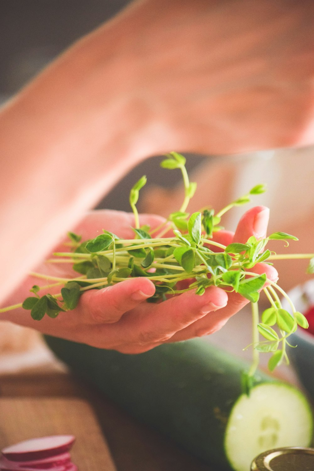 green and red leaves on persons hand