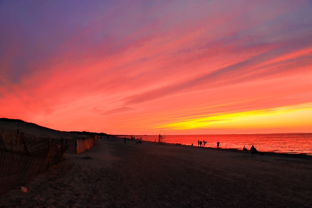 people on beach during sunset