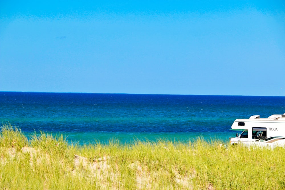 green grass near blue sea under blue sky during daytime