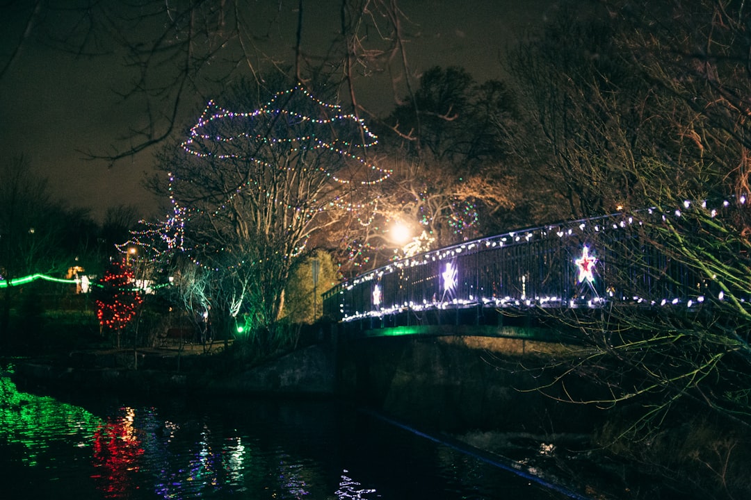 bridge over river during night time