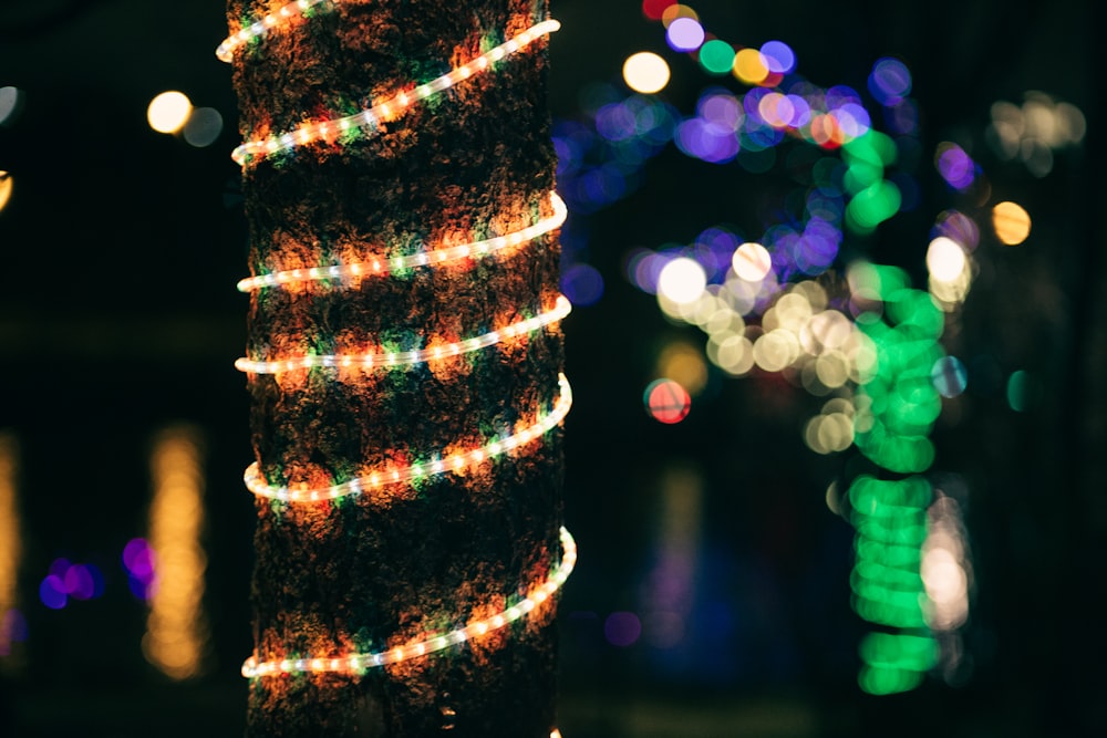 brown and green string lights