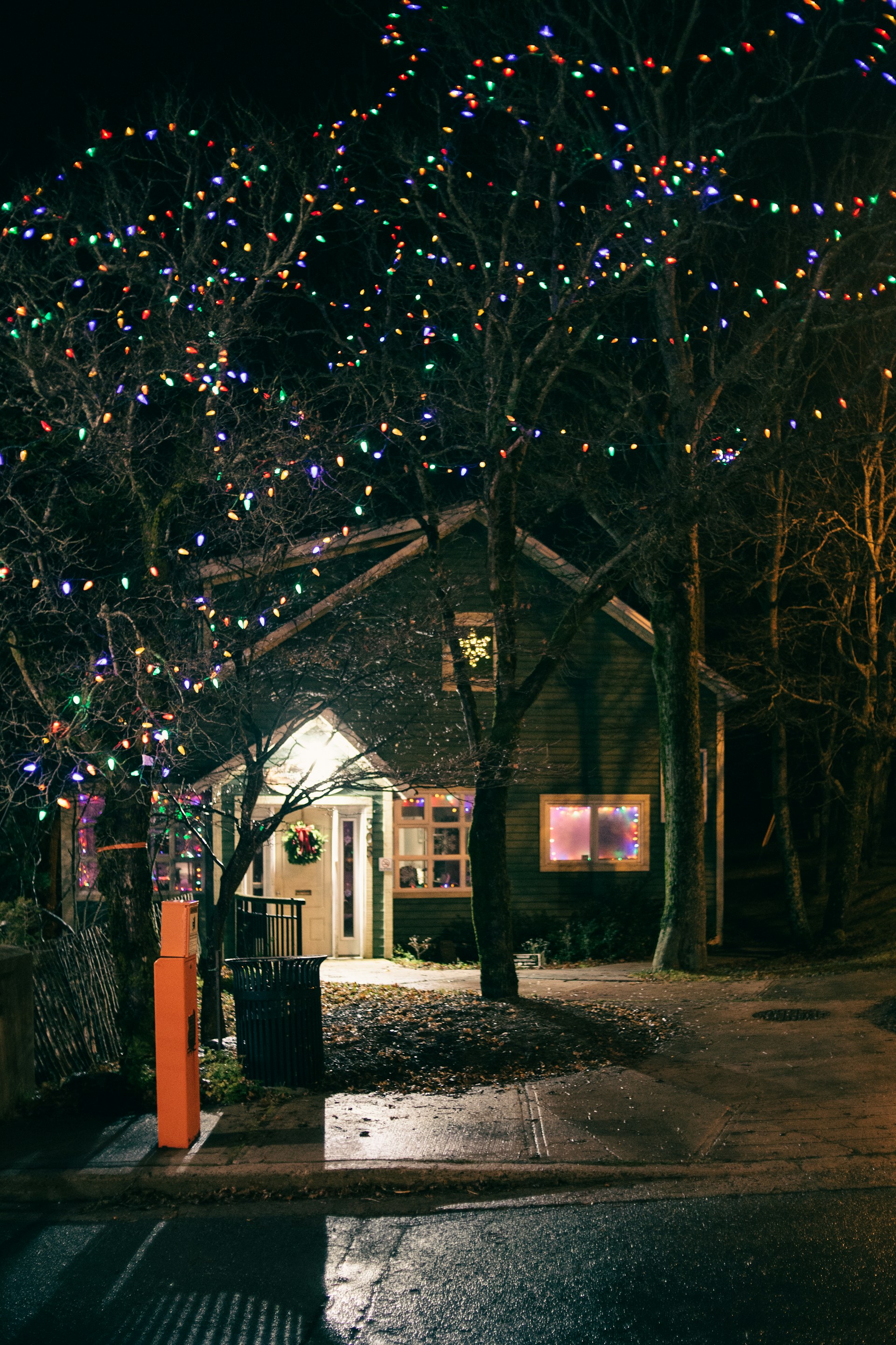 brown wooden house near trees during night time