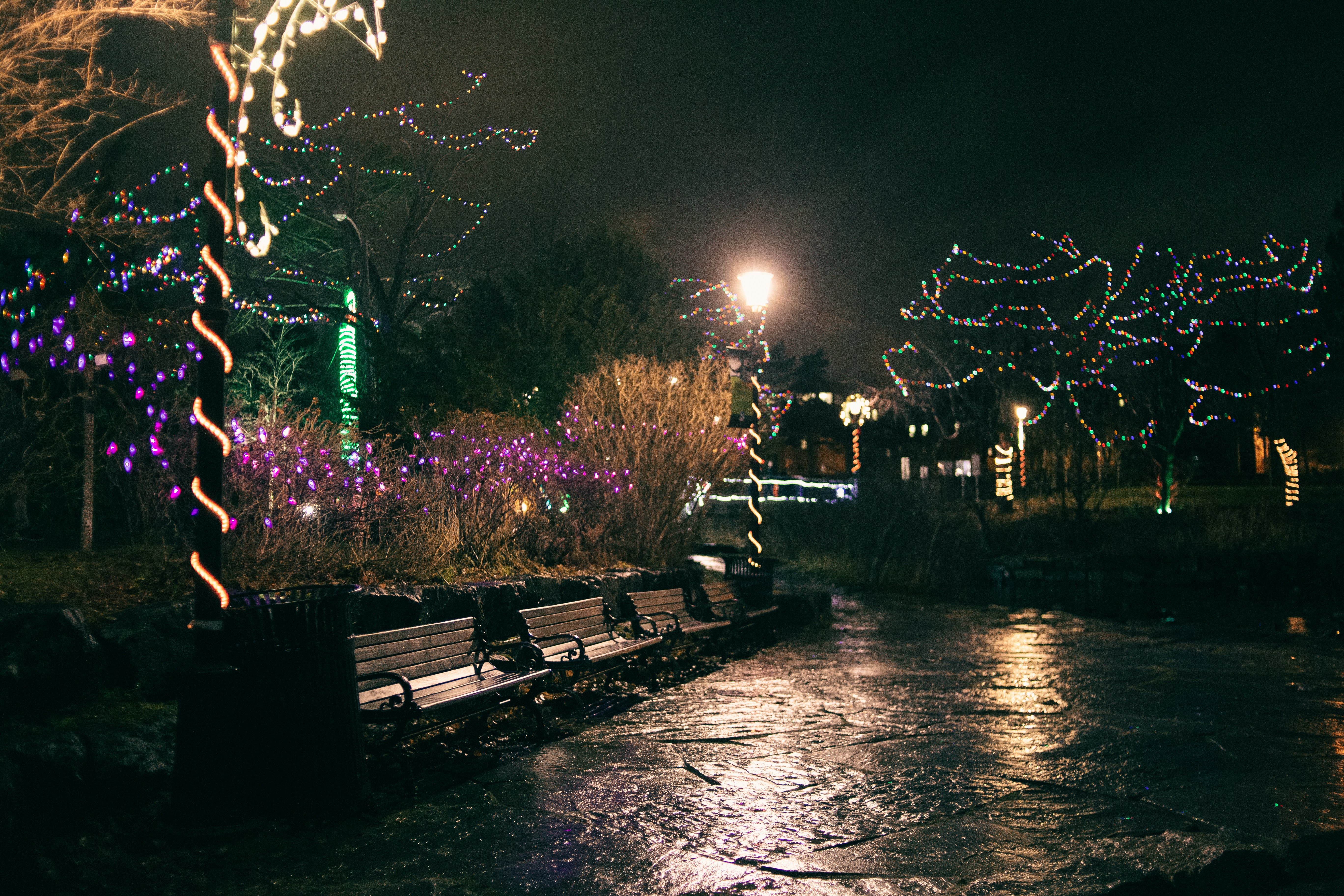 Photo by introspectivedsgn