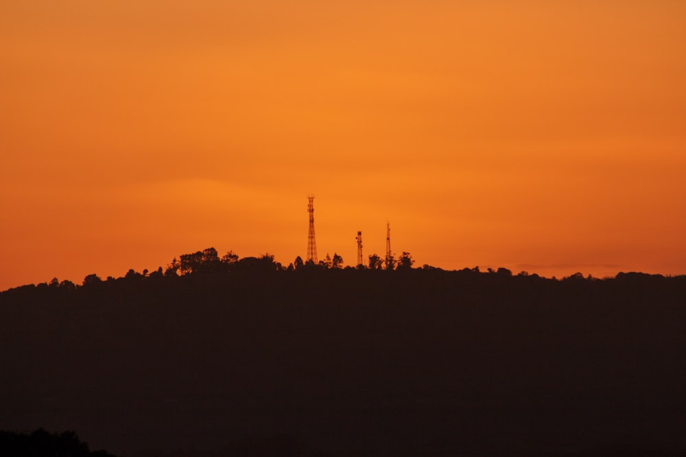 silhouette of trees during sunset