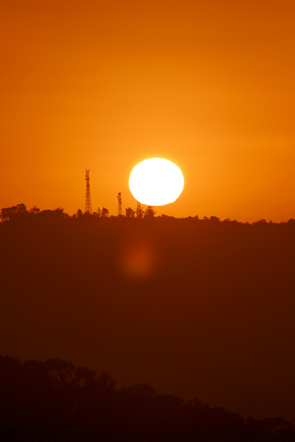 silhouette of trees during sunset