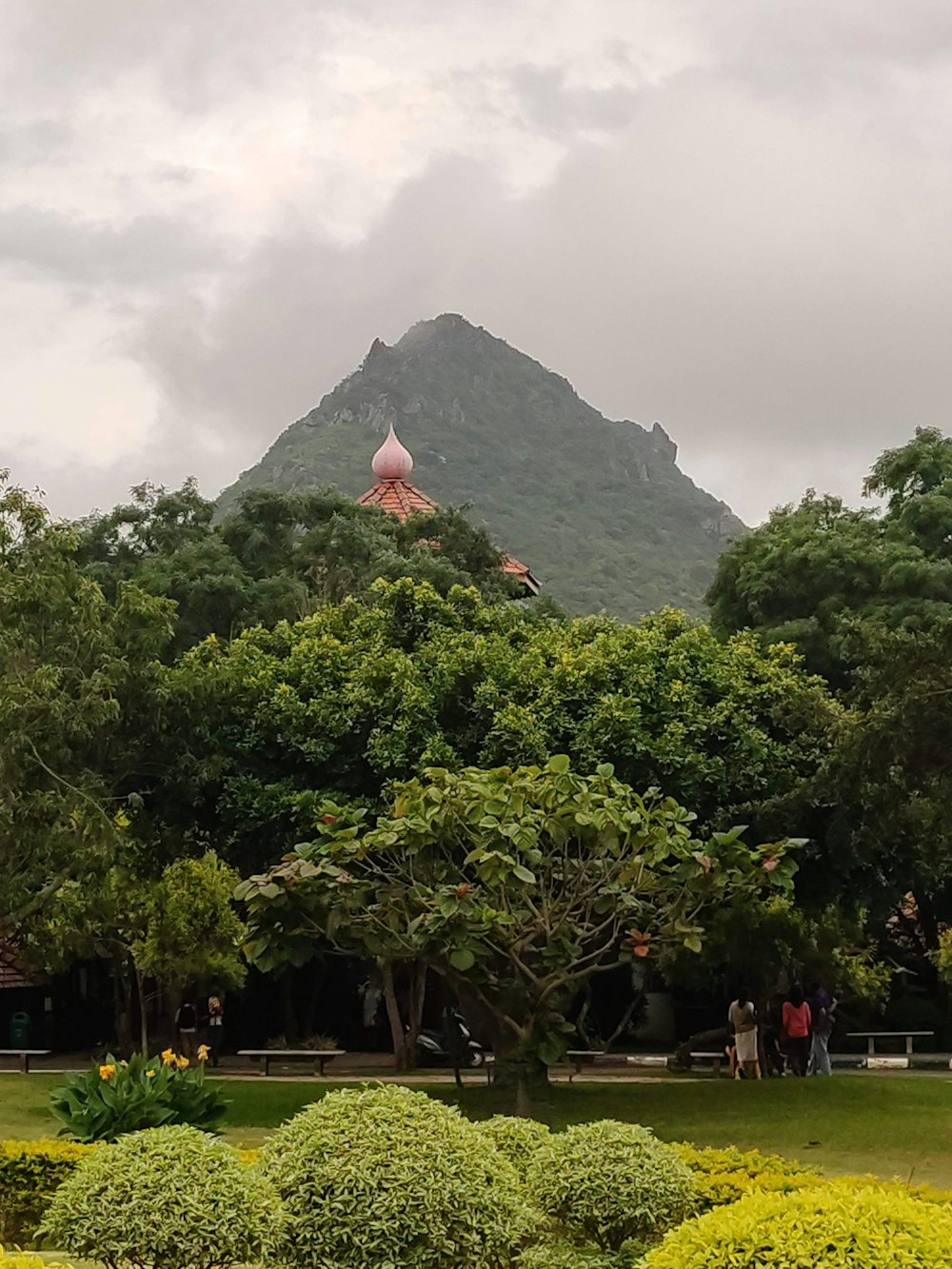 green trees near mountain under white clouds during daytime