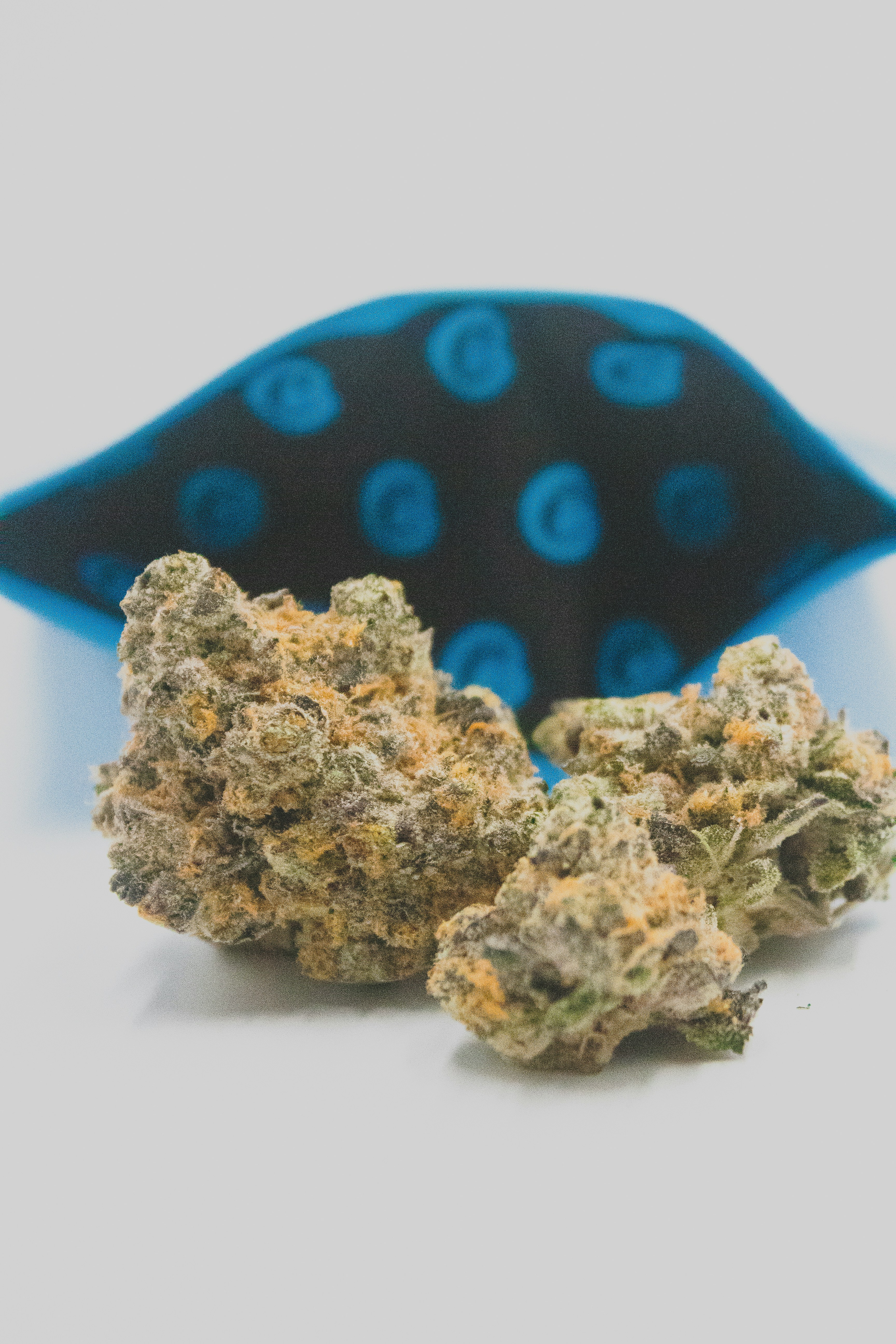 blue and white polka dot textile