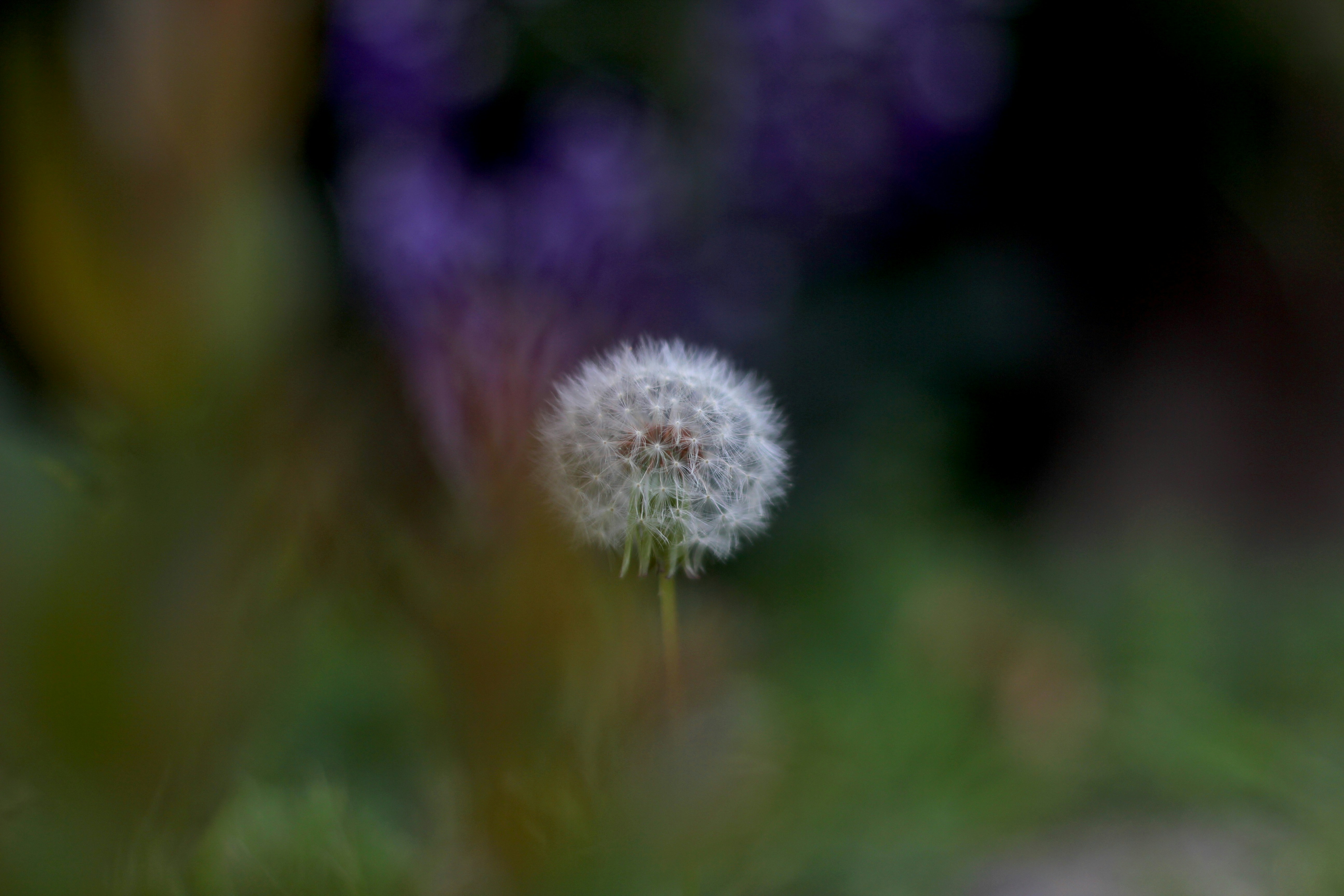 Photo by kindandcurious