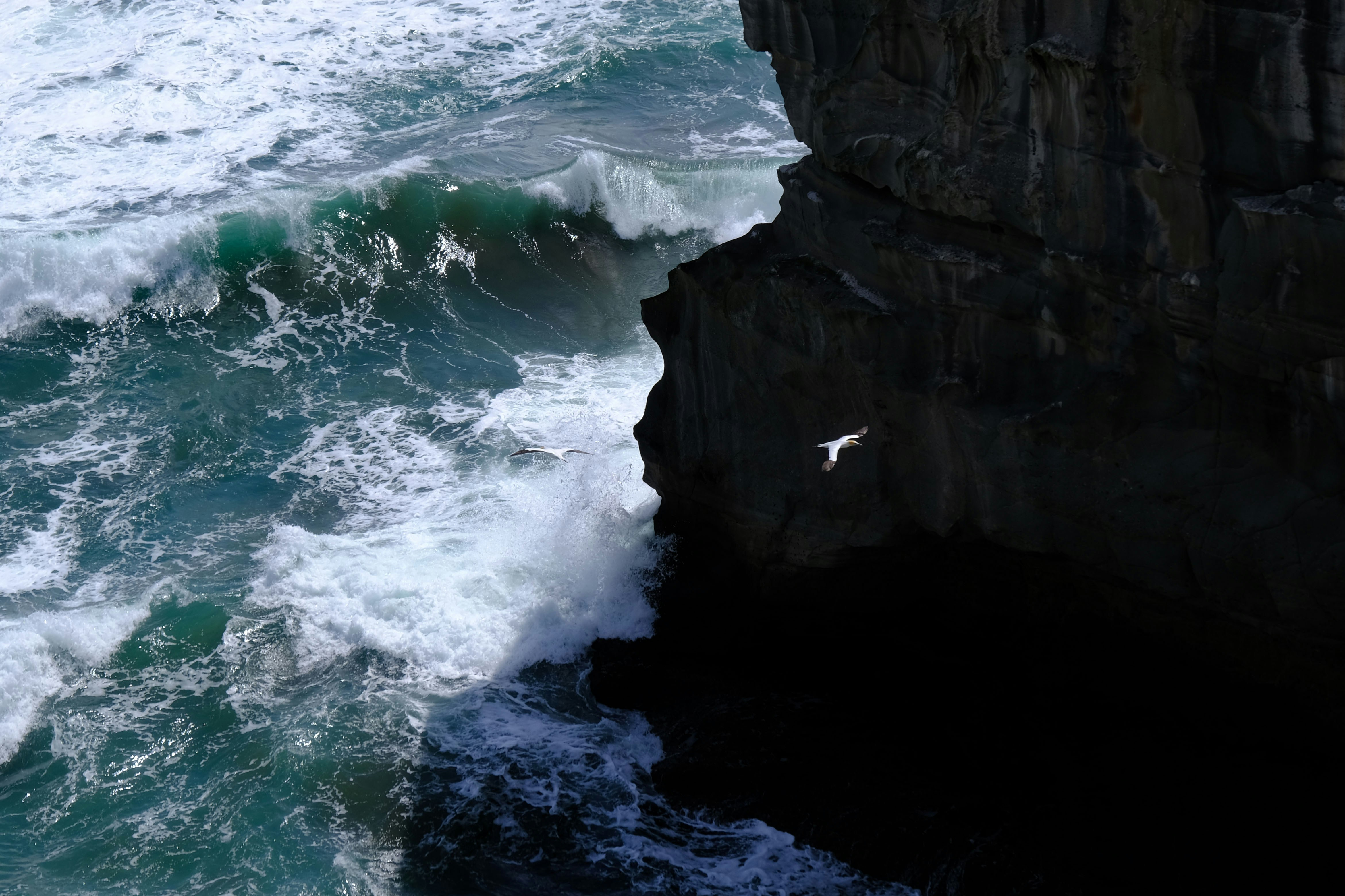 black rocky mountain beside body of water during daytime, Two birds fly in different directions and the scene was spilt by the rock.