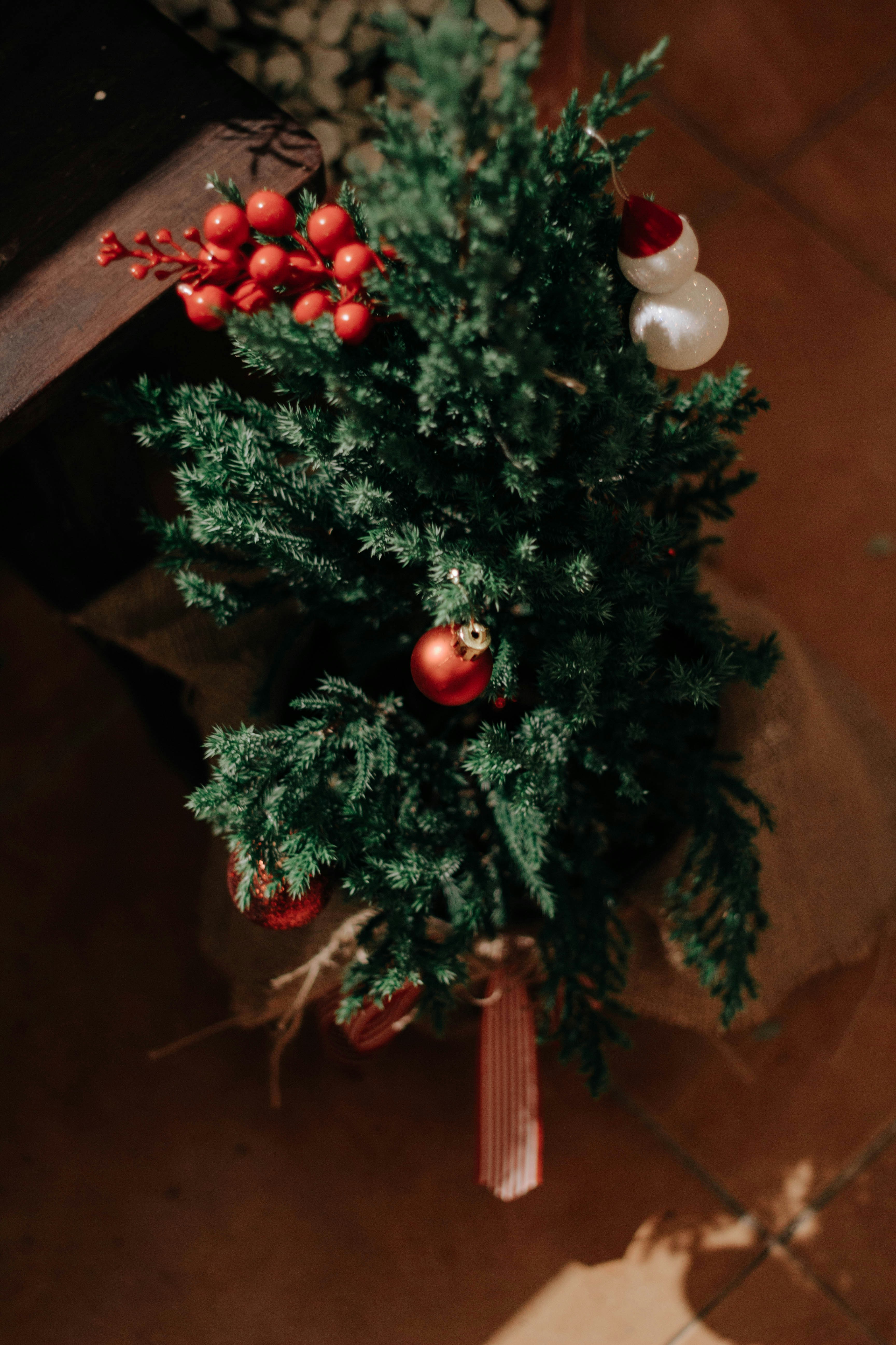 Green christmas tree with red and white baubles photo Free Plant Image on Unsplash