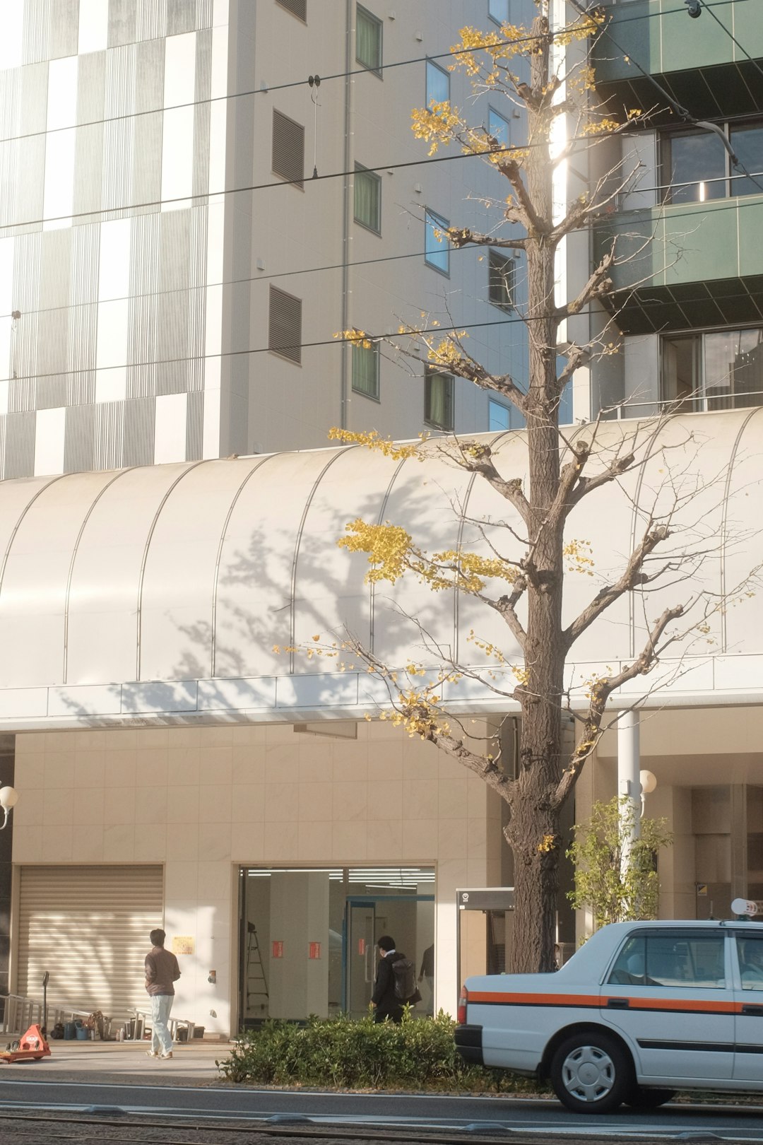 white and yellow flower tree near white concrete building during daytime