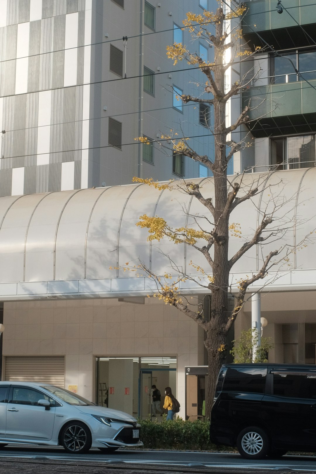 white and yellow flower tree near white concrete building during daytime